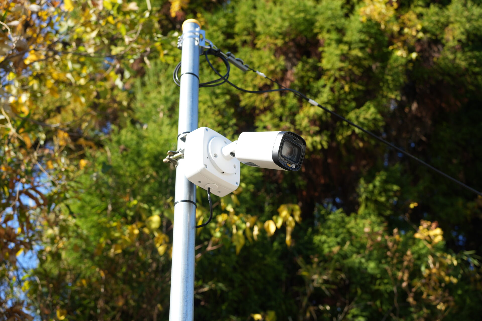 <br />
<b>Warning</b>:  Undefined variable $slider01_img10 in <b>/home/xs544655/kanata1101.com/public_html/kanatarou/wp-content/themes/kanata/single-works.php</b> on line <b>132</b><br />
<br />
<b>Warning</b>:  Trying to access array offset on value of type null in <b>/home/xs544655/kanata1101.com/public_html/kanatarou/wp-content/themes/kanata/single-works.php</b> on line <b>132</b><br />
