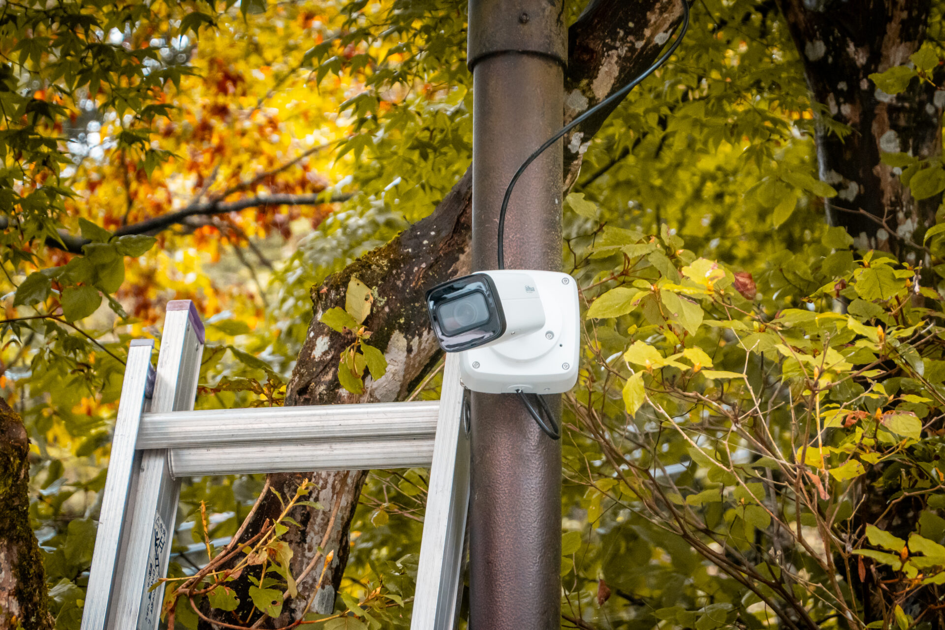 <br />
<b>Warning</b>:  Undefined variable $slider01_img10 in <b>/home/xs544655/kanata1101.com/public_html/kanatarou/wp-content/themes/kanata/single-works.php</b> on line <b>167</b><br />
<br />
<b>Warning</b>:  Trying to access array offset on value of type null in <b>/home/xs544655/kanata1101.com/public_html/kanatarou/wp-content/themes/kanata/single-works.php</b> on line <b>167</b><br />
